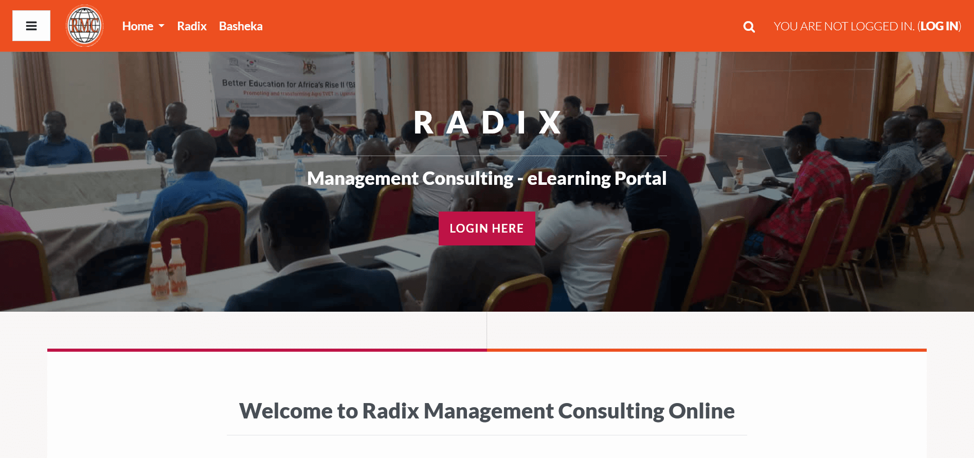 You are currently viewing Radix Management Consulting